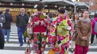 A Week in Kyoto Ultimate Travel Guide