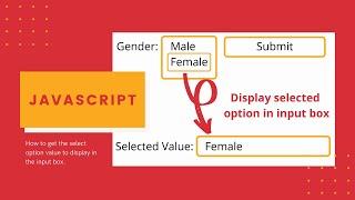 How to get Selected option value from Dropdown menu using JavaScript  Hindi