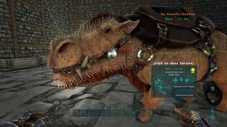 How to Raise a Wyvern without Milk on an Official Server  Ark Survival Evolved  The Island  PS4