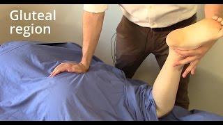 Massage Tutorial Gluteal region gluteus maximus piriformis sciatica