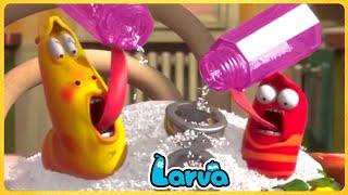 Larva Eat Less Salt  Season 2  Larva Cartoons - Comics  Larva Official  Cartoon Comedy 2020