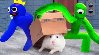 Hamster y el laberinto de los amigos del arcoíris Episodio 1 - RAINBOW FRIENDS