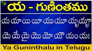 య గుణింతం  Ya gunintham  How to write Telugu Ya guninthalu  Telugu varnamala Guninthamulu