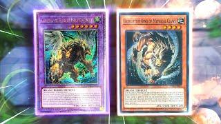 THE YU-GI-OH TOP-TIER NEW YUGIS CHIMERA FUSION DECK New Illusion Fusion Deck + 7 Negates Combo