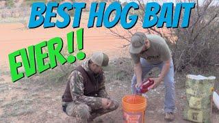 Easy DIY Hog Bait  GUARANTEED to bring in wild hogs