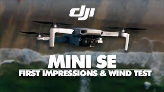 DJI Mini SE - Exclusive First Look Comparison & Wind Test  DansTube.TV