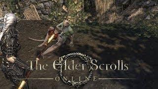 THE ELDER SCROLLS ONLINE ● #237 Geschichte eines Khajiit ● Lets Play TESO│Deutsch