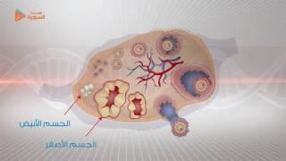 49 - الحاثات الجنسية الأنثوية - الثالث الثانوي - المدرسة السورية