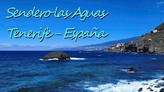 Hiking in Tenerife - Spain Path las Aguas  4k UltraHD Video