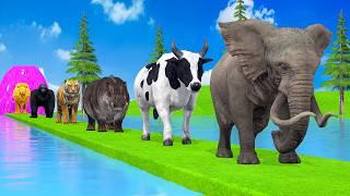 Paint & Animals DuckGorillaLionElephantCowSheep Fountain Crossing Transformation Animal Cartoon