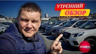 АВТОРЫНОК УТРЕННИЙ ОБЗОР