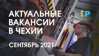 АКТУАЛЬНЫЕ ВАКАНСИИ В ЧЕХИИ НА СЕНТЯБРЬ 2021