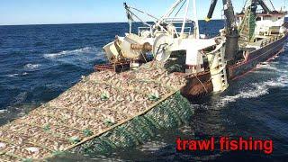 Amazing commercial fishing by trawl - Net Fishing Hundreds of tons of fish are caught on the boat