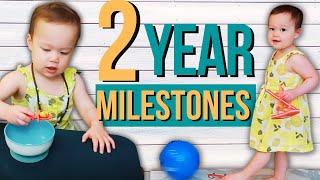 TWO YEAR DEVELOPMENTAL MILESTONES  24 Month Old Milestones & Activities for Toddler Development