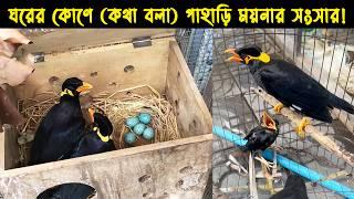 কথা বলা পাহাড়ি ময়না পাখি দম্পতির জীবন কাহিনী   Bird Story- 163  The life story of Hill Myna Bird