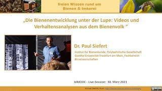 Videos und Verhaltensanalysen aus dem Bienenvolk biMOOC