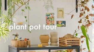 Plant Pot Tour  my ceramics collection