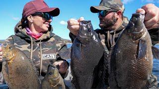 Sooty Grunter Fishing  Eungella Dam