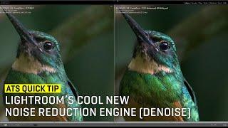 QuickTip Lightroom’s Cool New Noise Reduction Engine Denoise