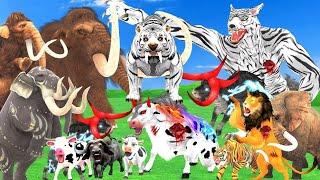 Giant Lion White Tiger Bull Vs Mammoth Elephant Cow vs Wolf Attack Buffalo Saved #animals battle.