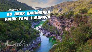 Черногория зиплайн по 2 каньонам рек Тара и Морача - ТОП 5 Вау фактов  Аккорд тур экскурсии