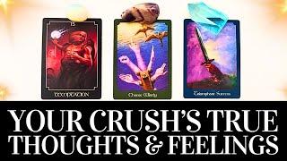 PICK A CARD  Your Crushs TRUE Feelings & Thoughts About You  + How They See You?  Tarot Reading