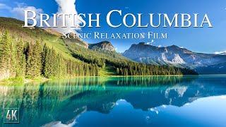 British Columbia Scenic 4K Relaxation Drone Video with Calming Ambient Music  Colombie Britannique