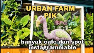 Walking tour Urban farm PIK2 banyak cafe dan spot instagrammable  wisata walking tour jakarta