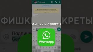 Секреты и фишки WhatsApp