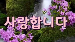 좋은글 사랑은 소유가 아니라 지켜 주는 것입니다