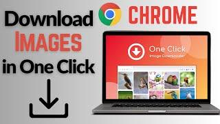 How to download Images from Google in laptop  How to Download Images from Web Pages  One Click