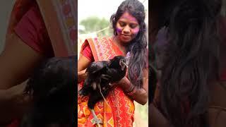 cute girl holi special #kadaknatha chicken Holi Happy Holi wish #short2023