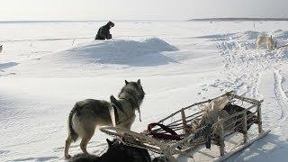 Счастливые люди  Енисей  Зима серия 4  Дмитрий Васюков