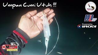 HARUS TETAP SIAGA  MANCING DIMALAM HARI MENGGUNAKAN UMPAN CUMI UTUH LANGSUNG DISIKAT MONSTER