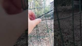 #fencing #splice #howto #fencedyard