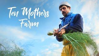 Three farmers CRUSHING the CSA market in North Carolina  Ten Mothers Farm