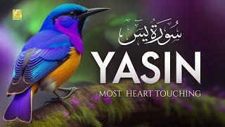 Surah Yasin Yaseen سورة يس  Beautiful voice heart touching  Zikrullah TV