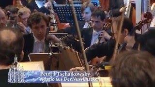 Чайковский. «Щелкунчик». Адажио  Tchaikovsky. The Nutcracker Adagio