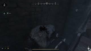 Hunt  Showdown   What you doin up there