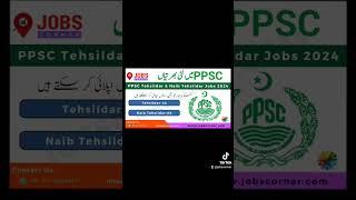 PPSC Tehsildar & Naib Tehsildar Jobs 2024 Apply Online #jobs #ppsc #tehsildar #lateatjobs