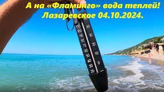 А на Фламинго вода теплей Лазаревское 04.10.2024.ЛАЗАРЕВСКОЕ СЕГОДНЯСОЧИ.