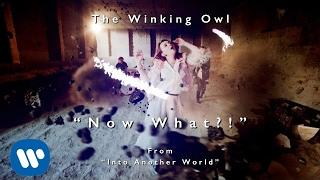 The Winking Owl - Now What?- Official Video