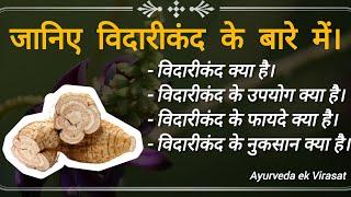 विदारीकंद क्या है? इसके फायदे व नुकसान। Pueraria tuberosa #Puerariatuberosa #ayurveda