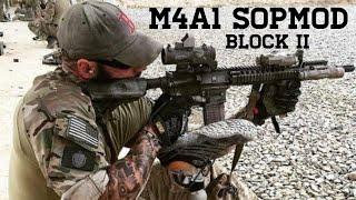 SOPMOD M4A1 Block 2 Army SF vs MARSOC