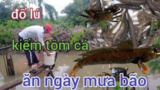 đổ lú kiếm tôm cá ăn ngày mưa bão #cuocsongnguoimientay #tomca #songnuocmientay