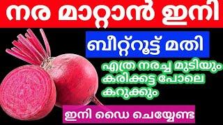 Natural Hair Dye നരച്ച താടിയും മുടിയും കട്ടക്കറുപ്പാകാൻ ബീറ്റ്‌റൂട്ട് മതി#trending#naturalhairdye