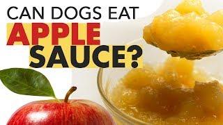 Can Dogs Eat Apple Sauce