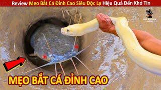 Review Mẹo Bắt Cá Đỉnh Cao Siêu Độc Lạ Hiệu Quả Đến Khó Tin  Review Giải Trí Đời Sống