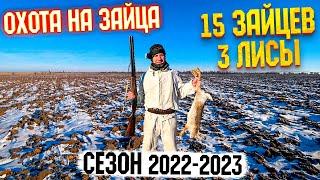 Охота на зайца. Чей ЗАЯЦ? Сезон 2022-2023. #тропление #троплениезайца #охотаназайца#охота