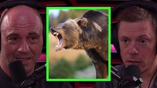 Steve Rinella Details After Effects of Grizzly Bear Encounter